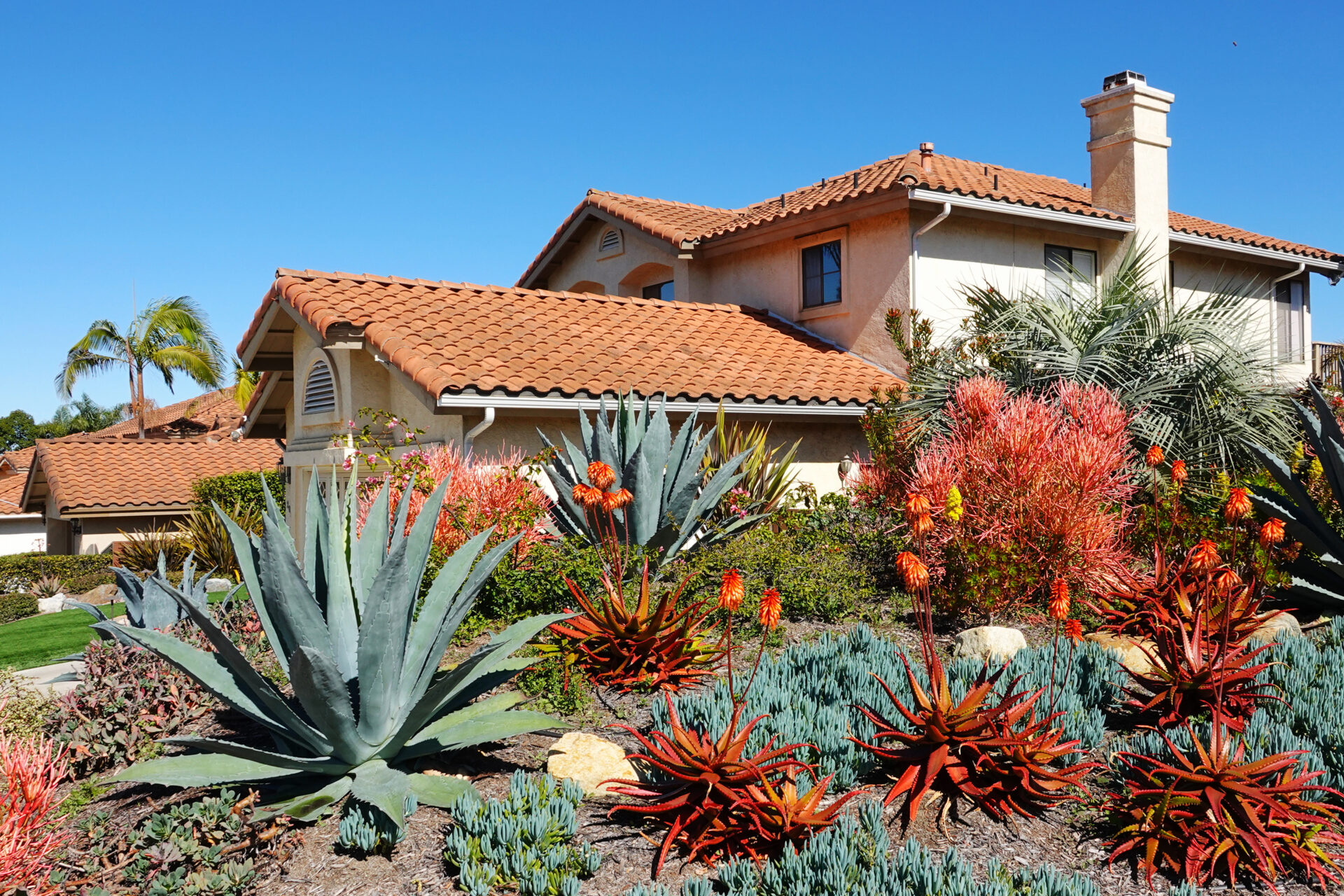 Home in Boerne, Texas displaying landscaping with desert flora.