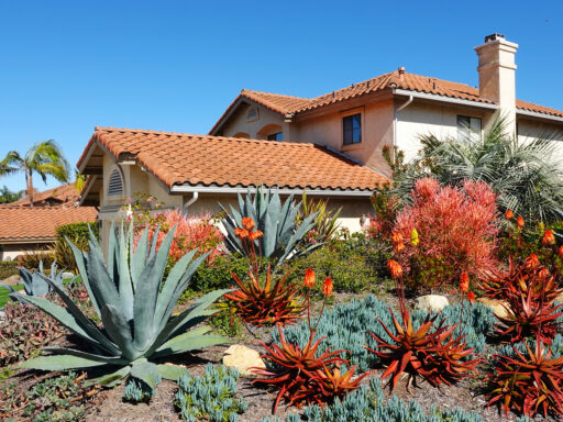 Home in Boerne, Texas displaying landscaping with desert flora.