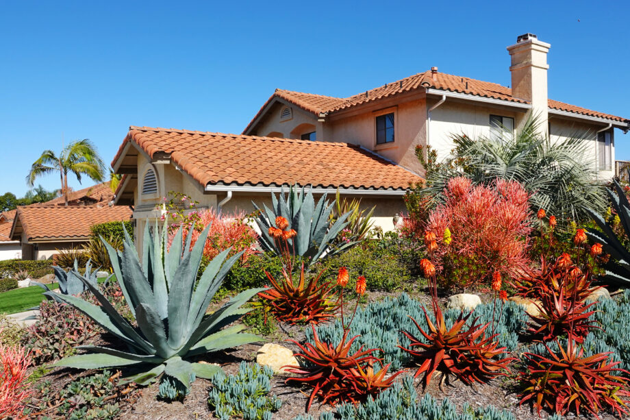 Home in Boerne, Texas displaying landscaping with desert flora.