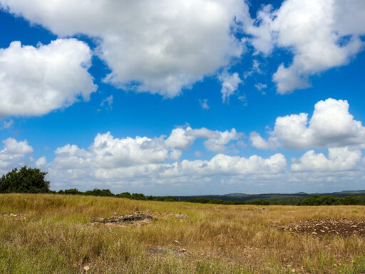 Texas landscape view near San Antonio.